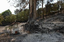 Muitos corpos foram encontrados dentro de carros. Vítimas tentavam fugir quando foram cercadas pelo fogo em Pedrógão Grande