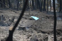 Muitos corpos foram encontrados dentro de carros. Vítimas tentavam fugir quando foram cercadas pelo fogo em Pedrógão Grande
