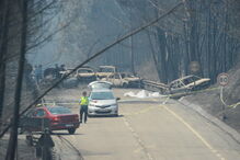 Muitos corpos foram encontrados dentro de carros. Vítimas tentavam fugir quando foram cercadas pelo fogo em Pedrógão Grande