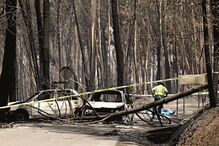 Pedrógão Grande, tragédia, morte, lua de mel, casal, filho, incêndio, fogo