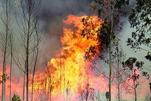 Pedrógão Grande, tragédia, mortos, feridos, desaparecidos, incêndio, fogo