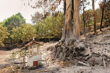 Pedrógão Grande, tragédia, mortos, feridos, desaparecidos, incêndio, fogo