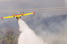 Pedrógão Grande, tragédia, mortos, feridos, desaparecidos, incêndio, fogo
