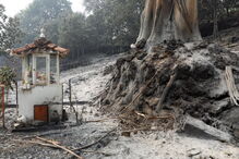 2017-06-19_13_54.26 Pedrogao5 AntónioCotrim.jpg