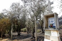 2017-06-19_14_12.51 Vitor Mota1.jpg