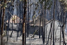 2017-06-19_14_12.52 Vitor Mota3.jpg