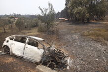 2017-06-19_14_12.54 Vitor Mota7.jpg