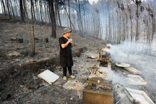 IVA, Portugal, Fisco, Bombeiros, Estado, Ministério das Finanças, Grande, Pedrógão, Liga dos Bombeiros Portugueses, presidente da Liga dos Bombeiros, Marta Soares, Correio da Manhã, questões sociais, acidentes e desastres, organizações de socorro, política