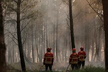 Incêndio em Góis