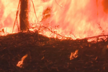 Vítima relata a fuga pela estrada da morte