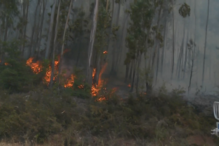 Incêndio reacende-se em Avelar