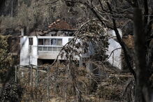 Chamas deixaram um rasto de destruição e semearam a pobreza 