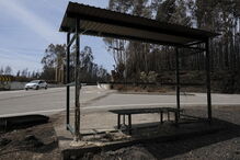 Chamas deixaram um rasto de destruição e semearam a pobreza 