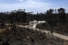Chamas deixaram um rasto de destruição e semearam a pobreza 