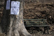 Chamas deixaram um rasto de destruição e semearam a pobreza 