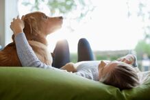 Benefícios, saúde, animais, estimação, amigos, companheiros, AVC