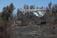 Fogo destruiu quase toda a área florestal de Pedrógão Grande