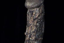 Pénis, museu, Londres, exposição