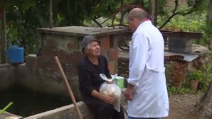 Padeiro de Santarém distribui pão e leite às vítimas do incêndio de Pedrógão