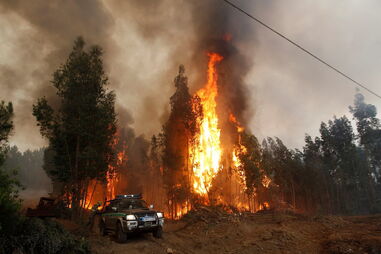 Pedrógão Grande, José Esteves, mulher, Anabela, milagre, incêndio, fogo, tragédia