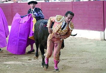 Morreu o homem ferido por um touro durante festival em Espanha - Mundo -  Correio da Manhã