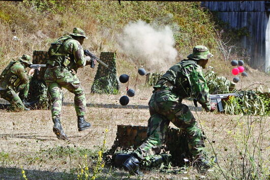 Finlândia e Suécia vão comprar mais armas aos EUA para ajudar Kiev