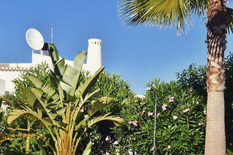 Rafa, Cláudia Duarte, Benfica, Estádio da Luz, Estádio do Jamor, Instagram, desporto, futebol