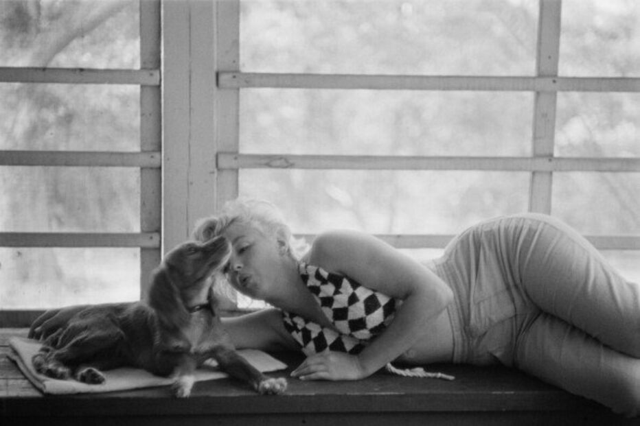 Marilyn Monroe, Hollywood, sexy, atriz, mulher, 91 anos, nasceu 