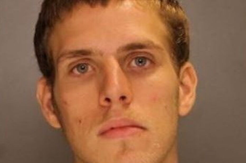 Travis Wagner admitiu ter tido sexo com um pónei