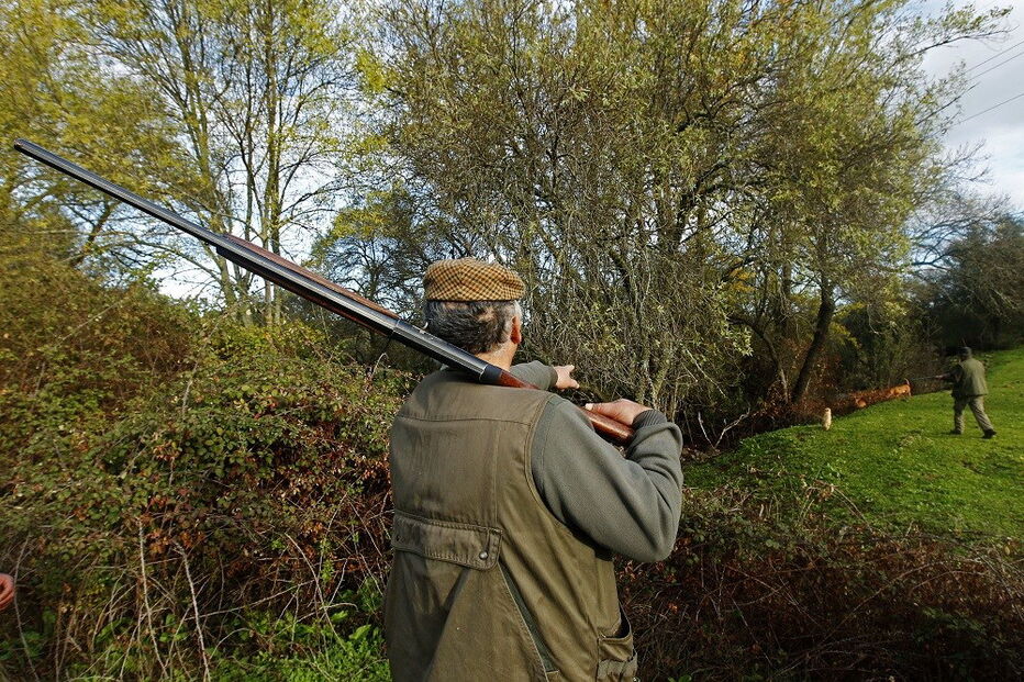 2017-06-05_02_06.03 5378420.jpg