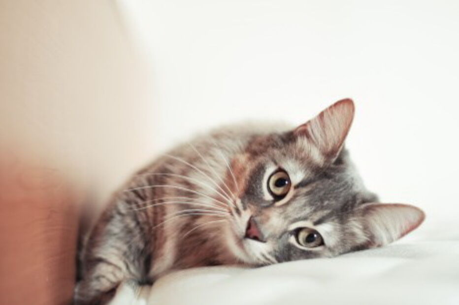 2017-06-08_13_34.09 173180018.jpg