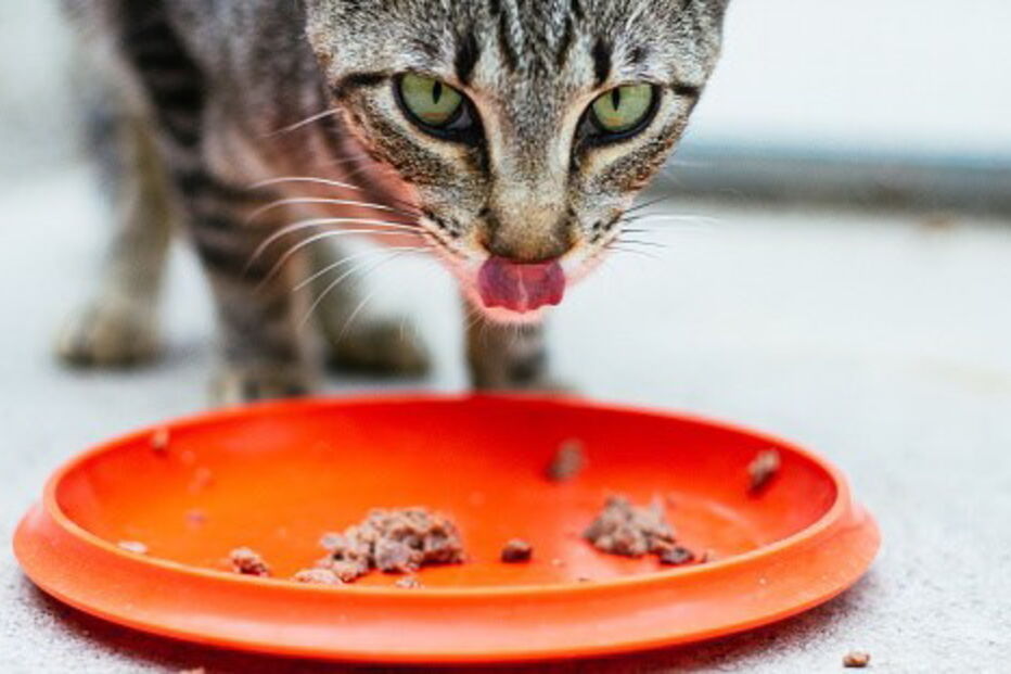 2017-06-08_13_34.10 722309089.jpg