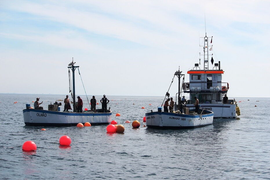 Trabalhos decorrem entre as 04h00 e as 11h00 ao largo de Tavira 