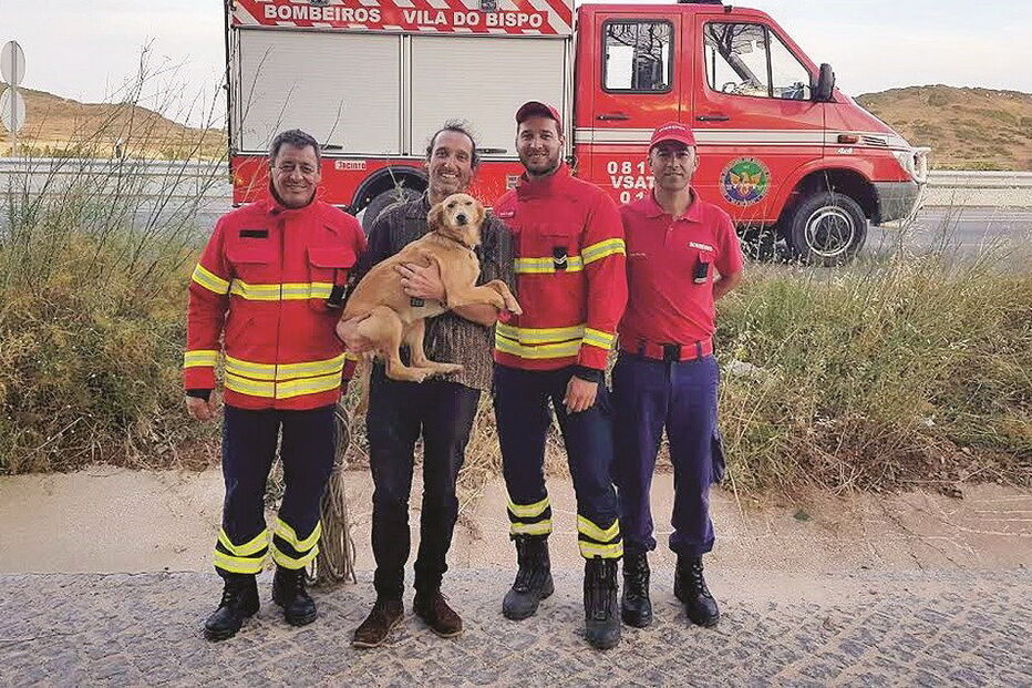 2017-06-10_03_55.34 Imagem alg24a.jpg