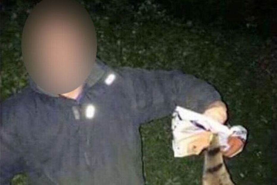 Alunos de veterinária competem para ver quem mata animal maior