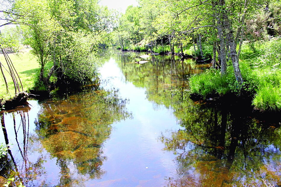 A área de intervenção tem cerca de 1400 hectares e pertence à Rede Natura 2000   