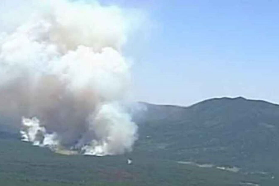 Incêndios em Jemez Mountains