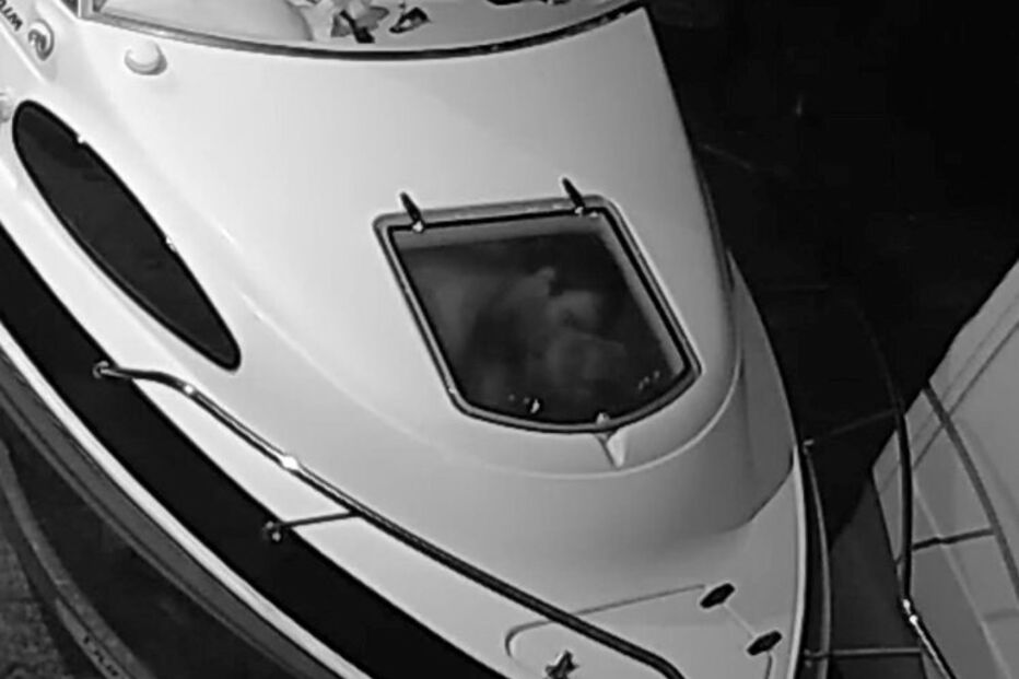 Casal de ladrões foi filmado no interior da embarcação em pleno ato