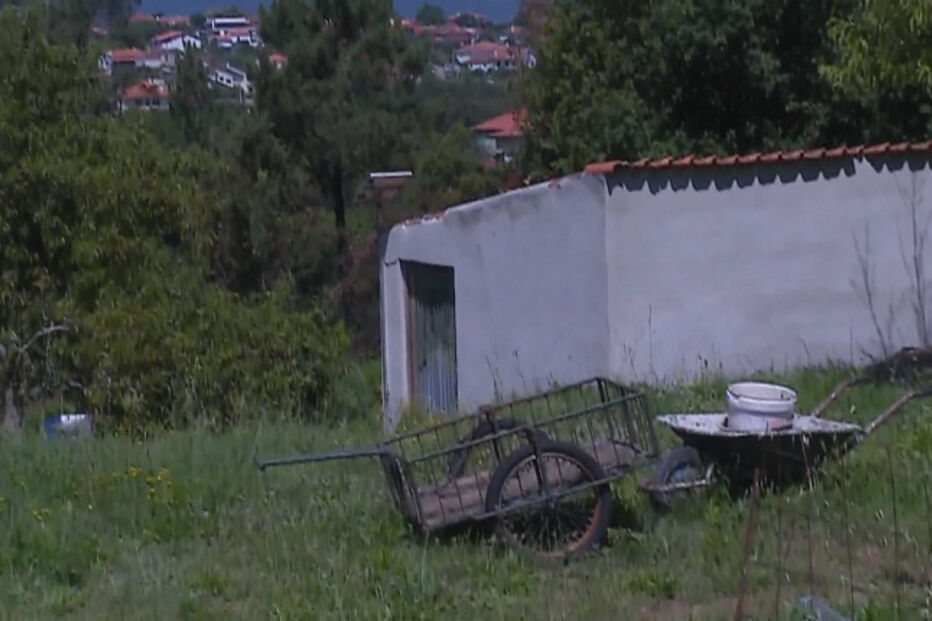 O barracão onde o homem terá sido baleado, em Caminha