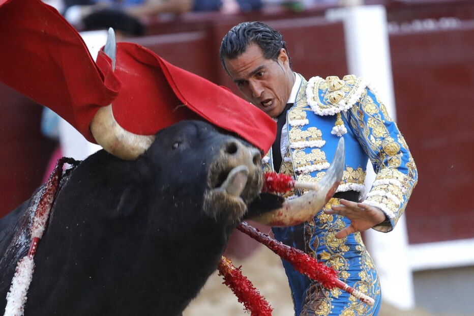 Ivan Fandiño, tourada, toureiro, França, praça, espanhol, cornada