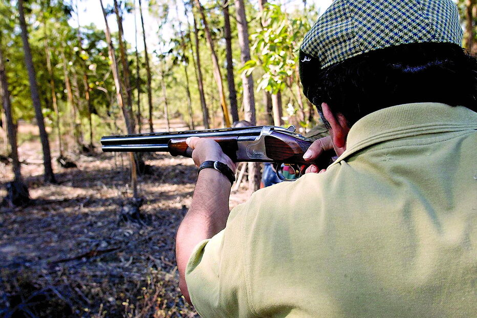 raposa, caça, deputados, animais, projeto-lei, caçadores