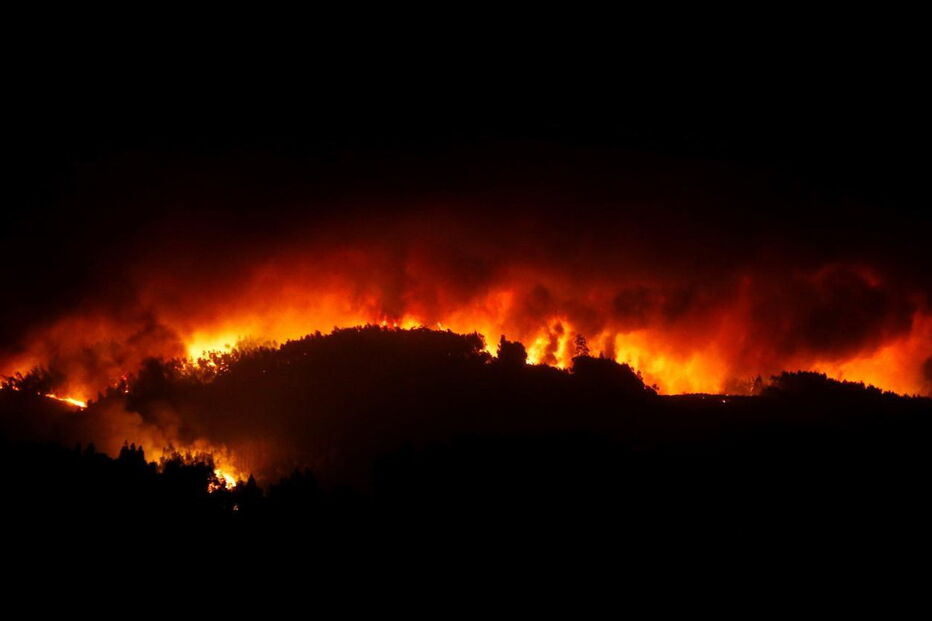 Incêndio em Pedrógão Grande fez dezenas de vítimas