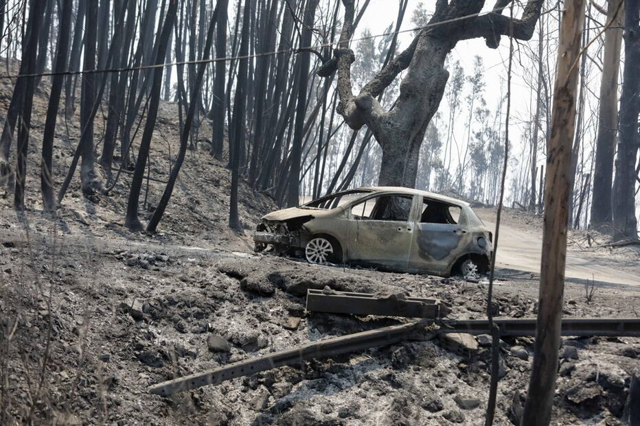 Muitos corpos foram encontrados dentro de carros. Vítimas tentavam fugir quando foram cercadas pelo fogo