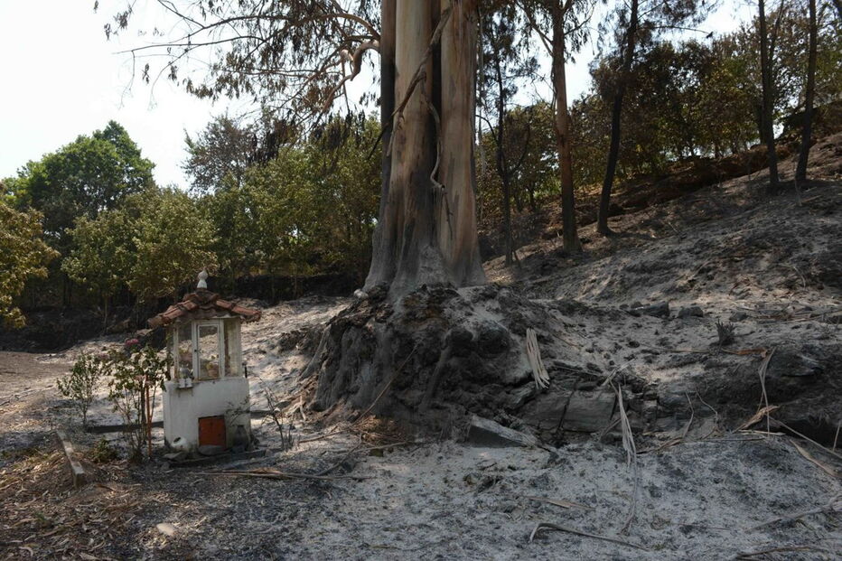 Muitos corpos foram encontrados dentro de carros. Vítimas tentavam fugir quando foram cercadas pelo fogo em Pedrógão Grande