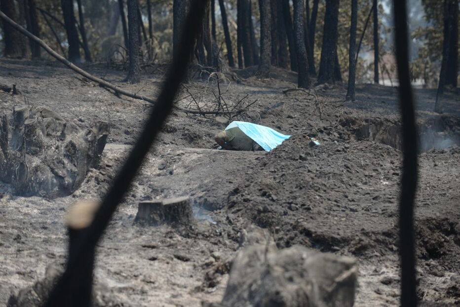 Muitos corpos foram encontrados dentro de carros. Vítimas tentavam fugir quando foram cercadas pelo fogo em Pedrógão Grande