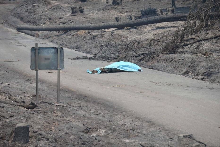 Muitos corpos foram encontrados dentro de carros. Vítimas tentavam fugir quando foram cercadas pelo fogo em Pedrógão Grande
