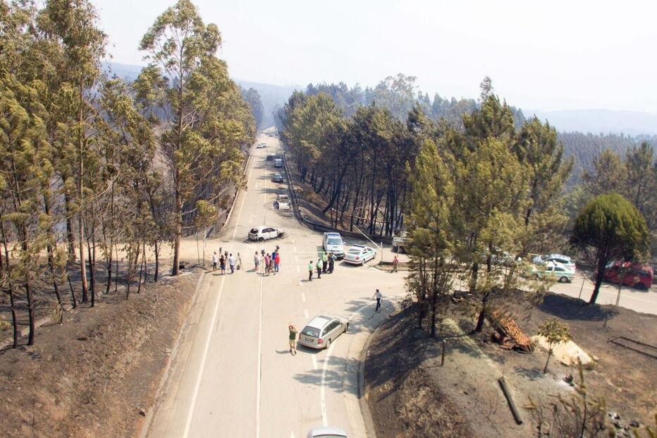 Muitos corpos foram encontrados dentro de carros. Vítimas tentavam fugir quando foram cercadas pelo fogo em Pedrógão Grande