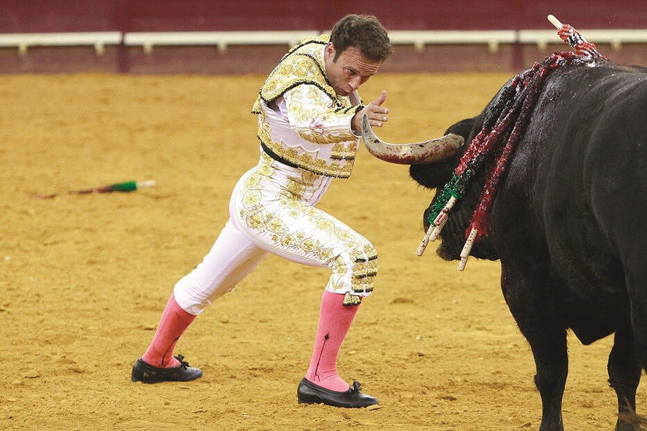 Ivan Fandiño, toureiro, morte, arena, touro, cornada, frança, 