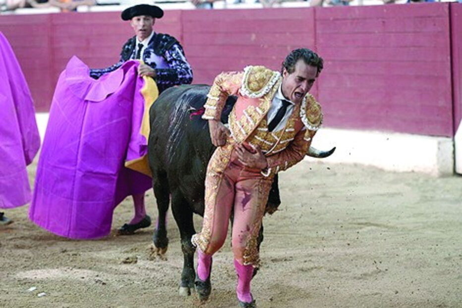 Ivan Fandiño, toureiro, morte, arena, touro, cornada, frança, 