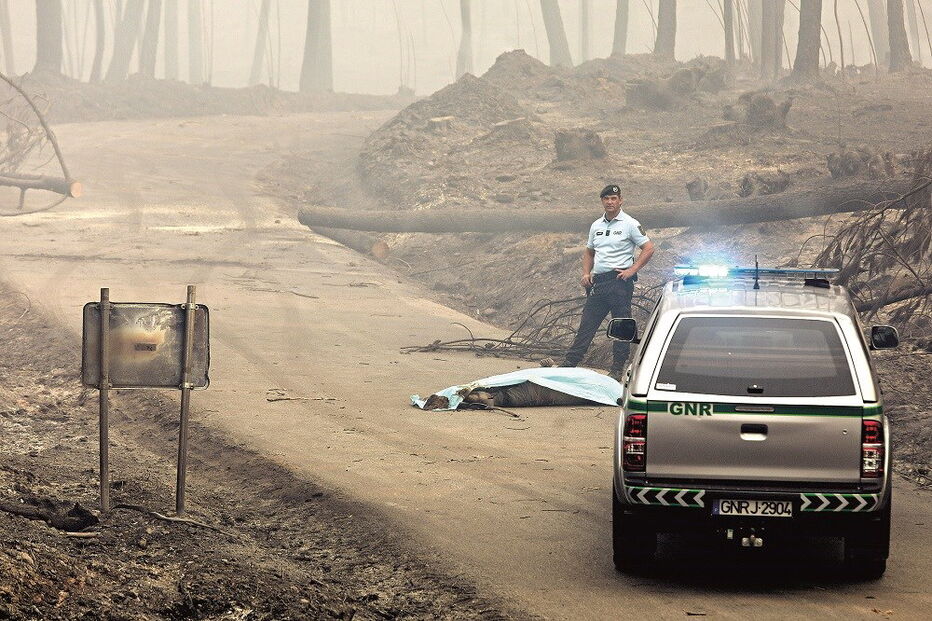 Pedrógão Grande, tragédia, mortos, feridos, desaparecidos, incêndio, fogo
